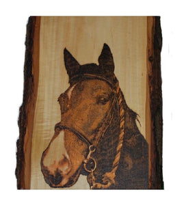 Custom Horse Portrait